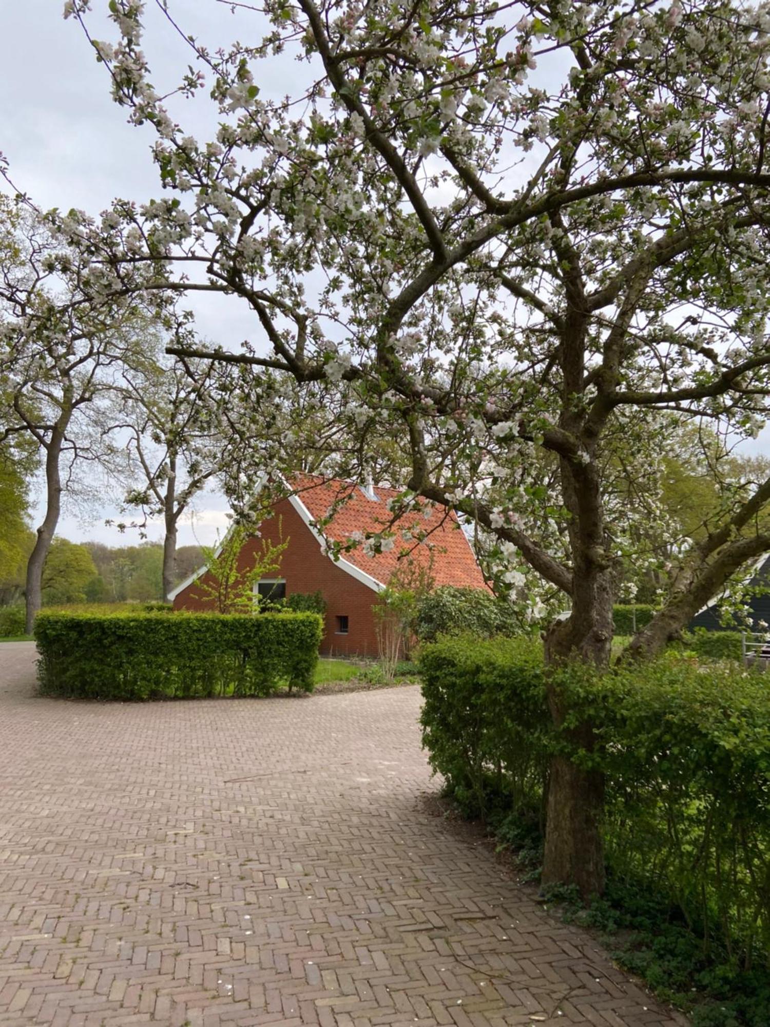 Haystackcottage Paterswolde エクステリア 写真